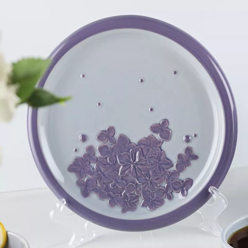 صفيحة سيراميك غسالة الأطباق